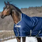 Zijaanzicht Bucas Freedom Turnout Light Navy