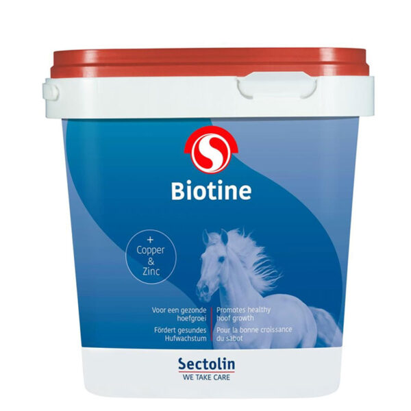 Sectolin Equibiotine 1 kg