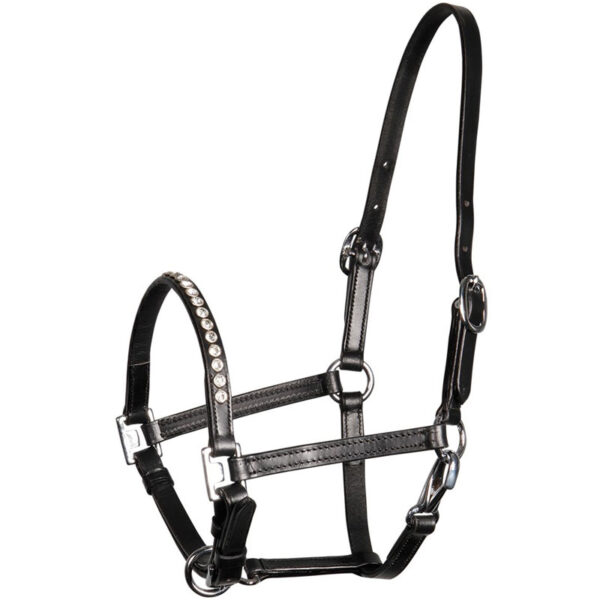 Harry's Horse Pony/Veulenhalster Crystal Leder Zwart