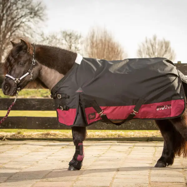 Regendeken STOUT Harry's Horse Bordeaux