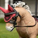 Toy Pony Fly Hood LeMieux Cranberry lifestyle afbeelding