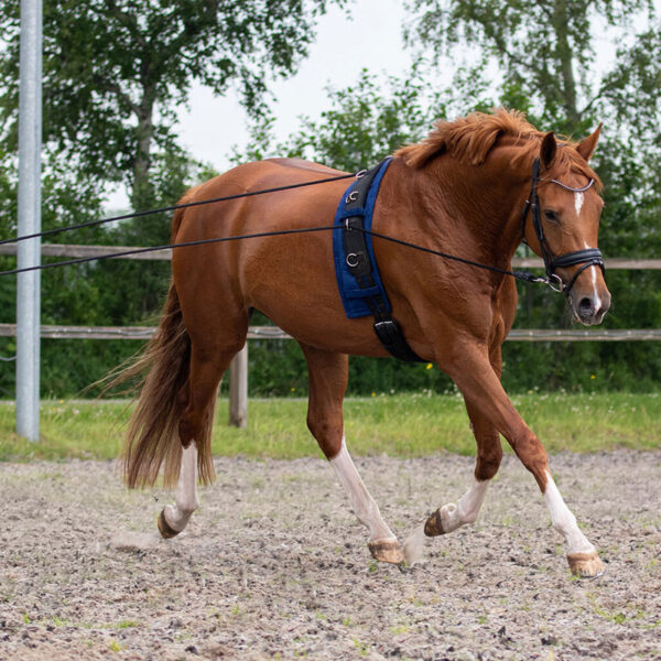 Lifestyle foto voorzijde QHP dubbele longeerlijn