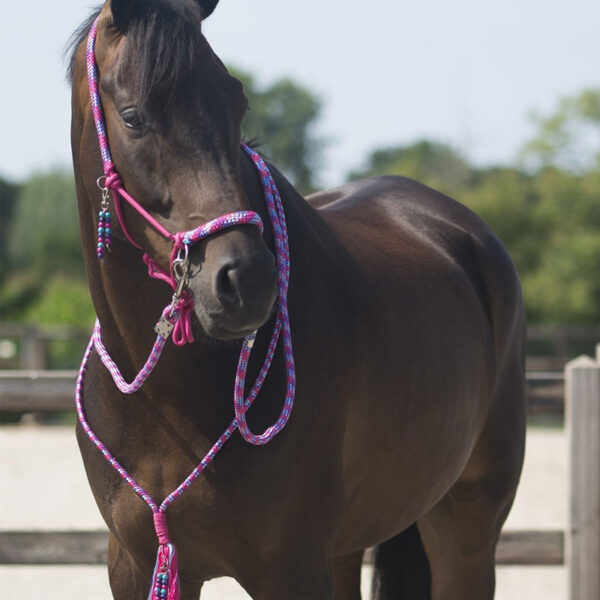 QHP set Liberty lifestyle fuchsia