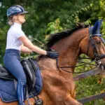 Sfeerafbeelding PresTeq rijbroek PerformNow navy