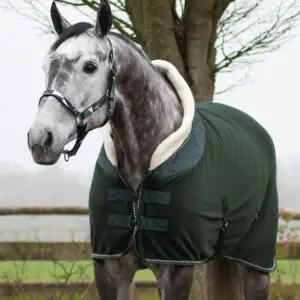 Deken QHP Brilliance Deep Forest