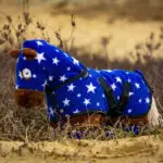 Crafty Ponies Dekenset Met Hals lifestyle foto blauw ster