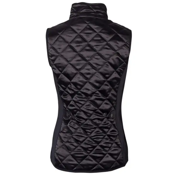 Achteraanzicht Bodywarmer DC Harry's Horse Amethyst zwart