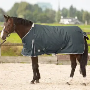 Harry's Horse Thor 300 Grams Ebony winterdeken