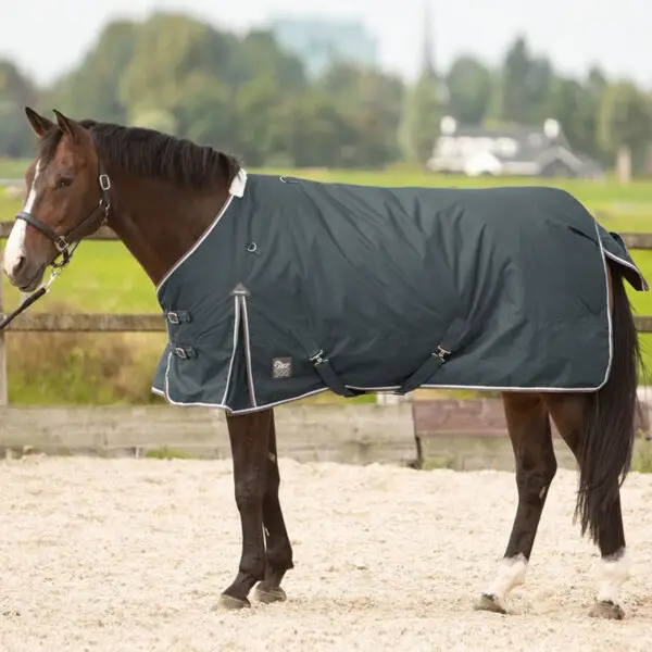 Harry's Horse Thor 300 Grams Ebony winterdeken