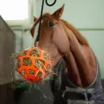 Sfeerfoto Hay Slowfeeder Fun and Flex Oranje