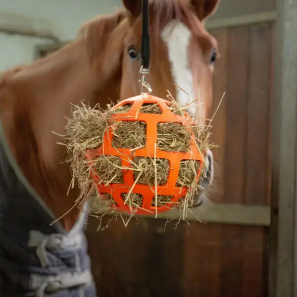 Close up Hay Slowfeeder Fun and Flex Oranje