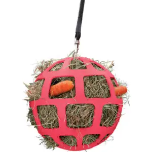 Hay Slowfeeder Fun and Flex Roze
