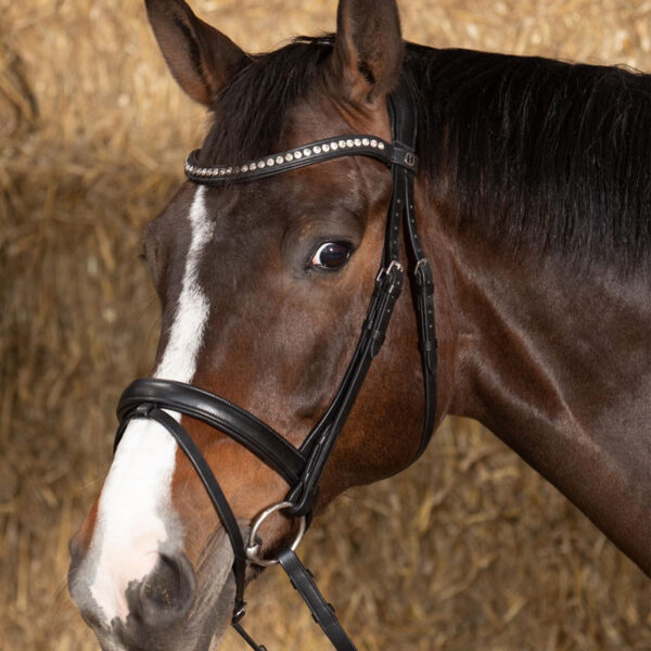 Lifestyle foto Harry's Horse hoofdstel Nero Soft zwart/zilver
