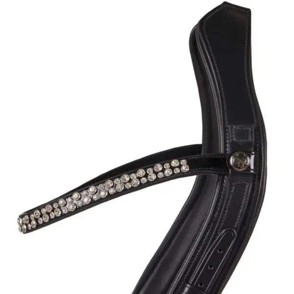 Detail frontriem PresTeq FaySport hoofdstel Shine zwart