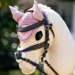 Lifestyle foto LeMieux Hobby Horse Fly Hood Blossom