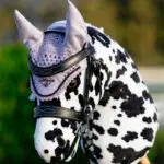 Lifestyle foto LeMieux Hobby Horse Fly Hood Lilac
