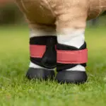 Lifestle afbeelding LeMieux Toy Pony Grafter Boots Cranberry