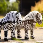 LeMieux sfeerfoto Toy Pony Montana Appaloosa Bruin
