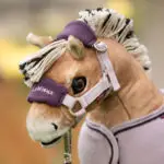 Close up lifestyle foto halsterset Vogue LeMieux Toy Pony Lilac