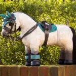 Lifestyle foto LeMieux Toy Pony zadel bruin