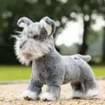 Toy Puppy LeMieux Cooper lifestyle afbeelding