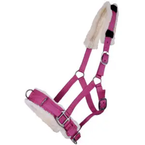 QHP Kaptoom Fuchsia