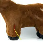 Close up wond Crafty Ponies Dierenarts Set