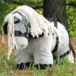 Lifestyle foto Crafty Ponies Enkelspan Set