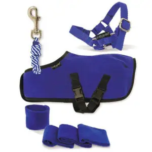 Crafty Ponies Fleecedeken Set Blauw