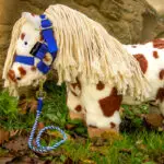 Lifestyle Crafty Ponies halstertouw blauw