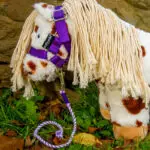 Lifestyle foto halstertouw Crafty Ponies paars
