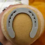 Geschikte hoefjes voor ijzers Crafty Ponies Hoefsmid Set