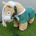 Lifestyle foto Crafty Ponies luxe dekenset Groen