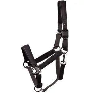 Harry's Horse Halsterset Denici Cavalli halster