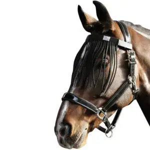 Harry's Horse vliegenfrontriem zwart