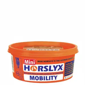 HorsLyx Mobility Balancer Mini