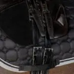 Lifestyle foto QHP singelverlenger