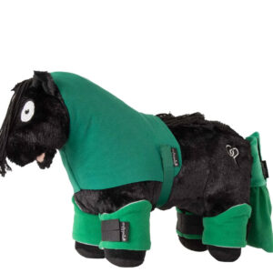 Crafty Ponies Transport Blanket Set Green