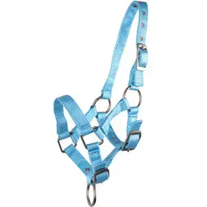 QHP Veulenhalster Baby-Blauw