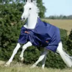 Bucas Therapy Turnout 150 grams navy oranje voorzijde