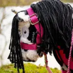 halster Crafty Ponies fleecedeken set roze