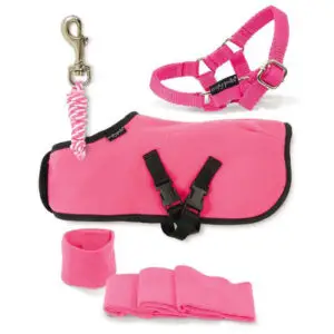 Crafty Ponies Fleecedeken Set Roze