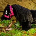 Lifestyle foto Crafty Ponies halster roze