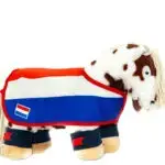 Lifestyle foto Nationale wedstrijdset Crafty Ponies