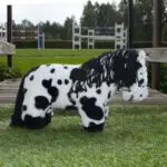 Lifestyle foto Crafty Ponies zwart bonte veulen  paardenknuffel