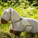 Lifestyle foto Crafty Ponies vliegendeken met masker