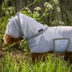 Close up halsstuk Crafty Ponies vliegendeken met masker