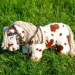 Lifestyle foto Western hoofdstel Crafty Ponies