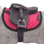 Crafty Ponies lifestyle foto Zadeldek Premium Roze