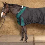 Sfeerfoto Harry's Horse Highliner 300 Grams